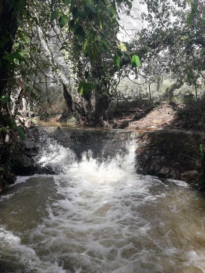 Casa De La Abuela Pepi Konuk evi Aracena Dış mekan fotoğraf
